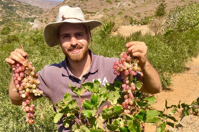 Wine Tasting and Tour in Saint Anna Winery in Naxos - What wines and spirits you’ll actually taste