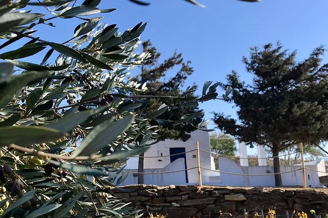 Wine Tasting and Tour in Saint Anna Winery in Naxos - Who should book this Saint Anna Winery wine tasting