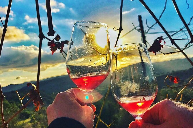 Wine Tasting and Winery Tour in Lemona Village, Paphos - The one-hour winery tour: how much you’ll learn, and what it’s good for