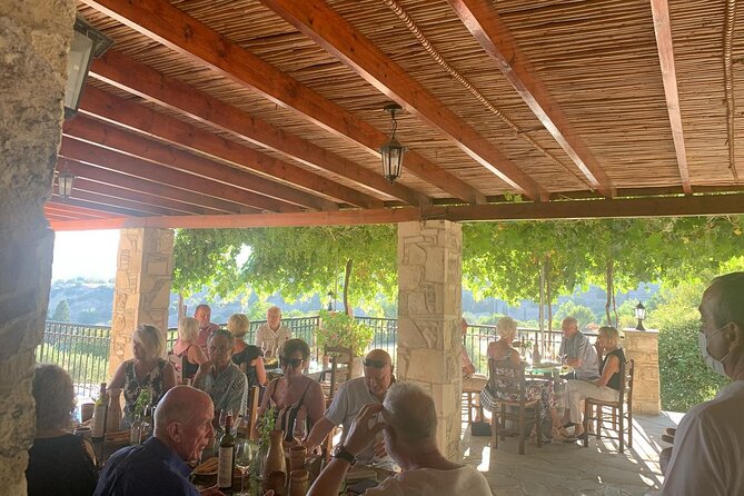 Wine Tasting and Winery Tour in Lemona Village, Paphos - Price and logistics: where the value really comes from