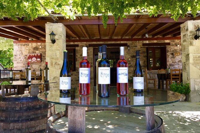 Wine Tasting and Winery Tour in Lemona Village, Paphos - Who this tour fits best (and who should rethink)