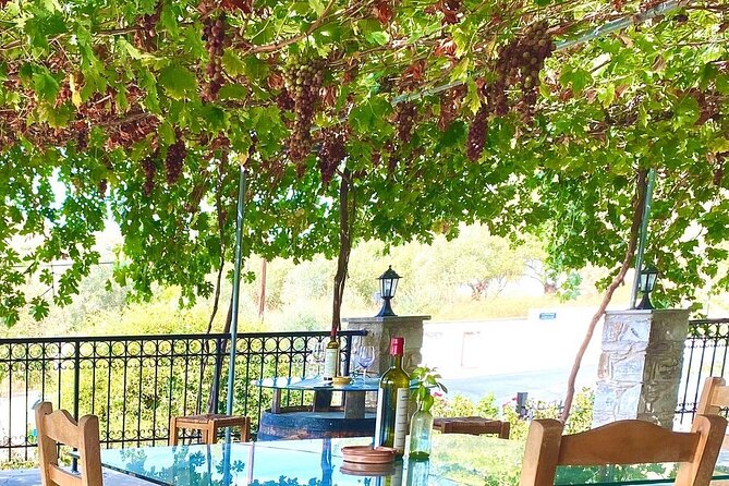 Wine Tasting and Winery Tour in Lemona Village, Paphos - Should you book this Lemona wine tour?