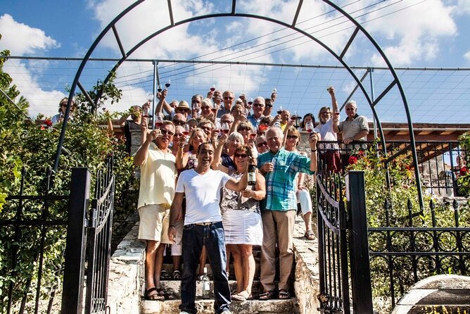 Wine Tasting and Winery Tour in Lemona Village, Paphos - Wine tasting on the vine-clad terrace: what you actually get to taste