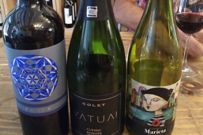 Wine Tasting Experience in Barcelona - 90 Minutes of Catalan Wine: What Happens in the Tasting Room