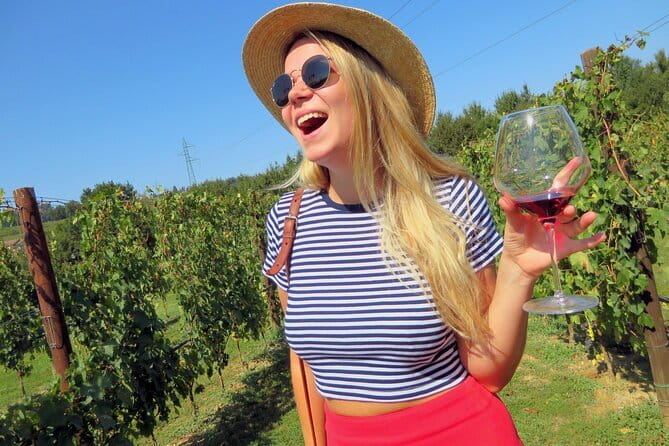 Wine Tasting Experience in Ponte Vecchio: Best Tuscany selection! - The wines you can choose: Chianti, Vernaccia, and Super Tuscans