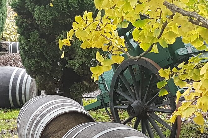 Wine Tasting in Frascati from Rome - What I’d Pack and How I’d Approach the Day