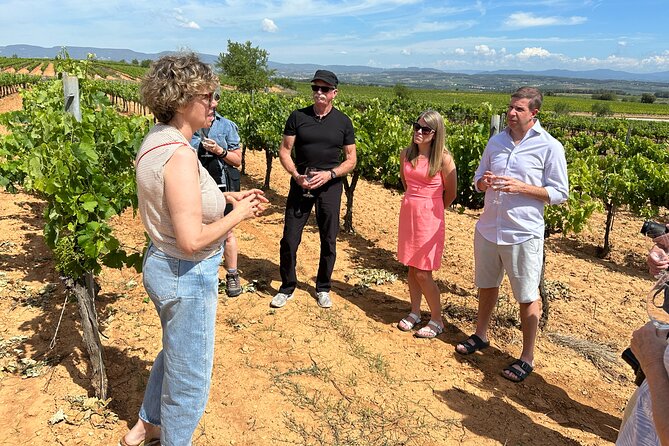 Wine Tasting in Three Boutique Wineries Tour - Max 8 people - Stop 2: Felix Massana Rafols and underground cellars you can feel