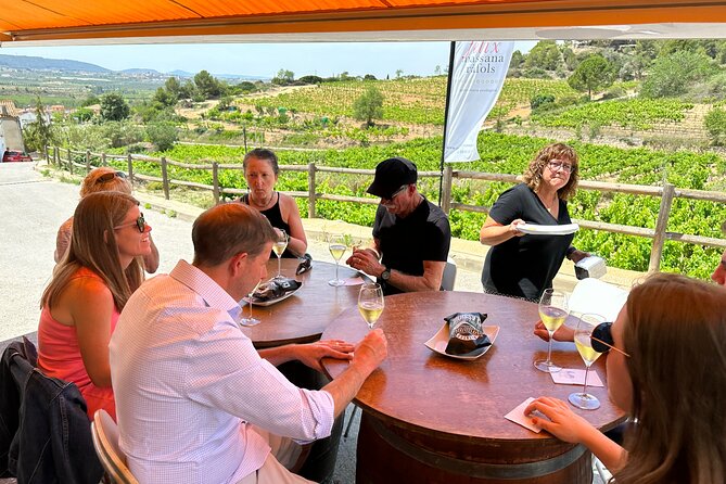 Wine Tasting in Three Boutique Wineries Tour - Max 8 people - Stop 3: Pares Balta for organic/biodynamic grapes and olive oil tasting