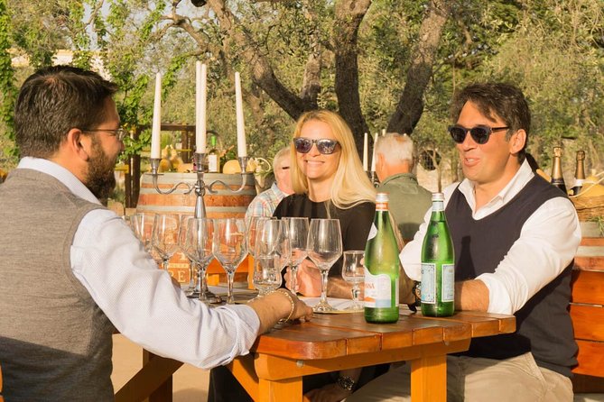 Wine tasting in Vieste - Stop 1 at Tenuta Padre Pio: the tasting lesson starts in the olives
