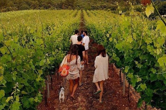 Wine tasting in Vieste - FAQ