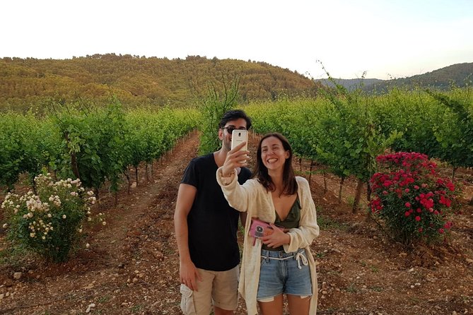 Wine tasting in Vieste - What you drink: extra virgin olive oil plus 3 Gargano wines