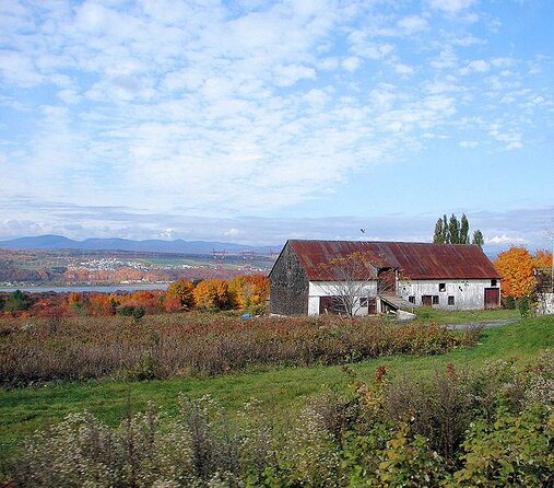 Wine Tasting on Ile d'Orleans - Key highlights at a glance
