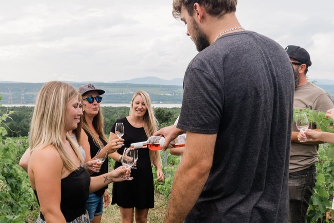 Wine Tasting on Ile d'Orleans - Should you book this Île d’Orléans wine tasting tour?