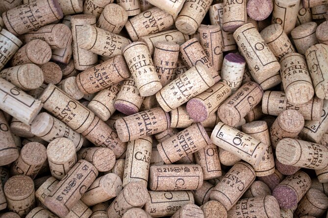 Wine tasting THE CLASSICS - Winery Installations, Vineyard Walks, and Eco Credentials