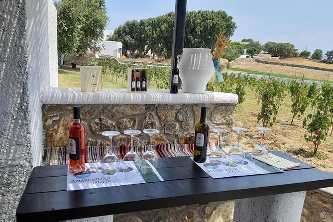 Wine Tasting Tour at a traditional farm in Mykonos - Snack Pairing and Farm-Food Reality Check