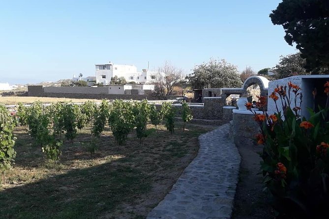 Wine Tasting Tour at a traditional farm in Mykonos - Midday vs Evening: Choose the Start Time That Fits Your Day