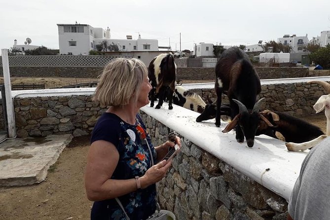 Wine Tasting Tour at a traditional farm in Mykonos - Price and Value: Is €90.70 Worth It?