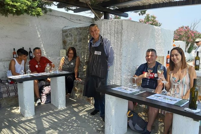 Wine Tasting Tour at a traditional farm in Mykonos - Group Size and the Comfort Factor