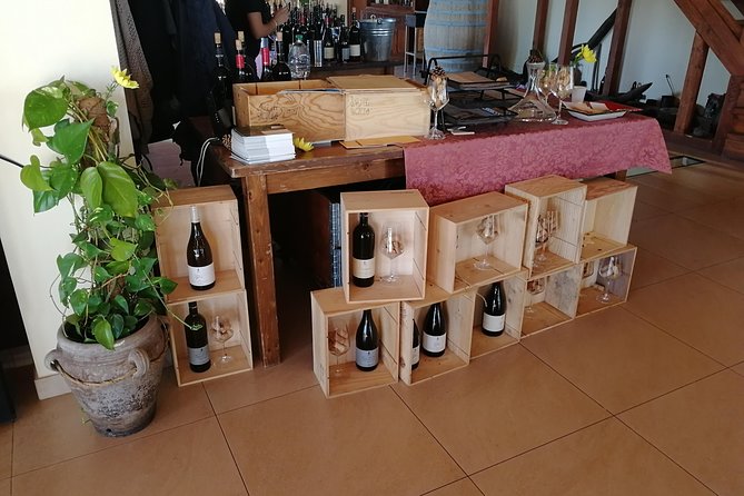 Wine Tasting Tour from Taormina - Gambino Winery on Etna Slopes: Why the Volcanic Soil Matters