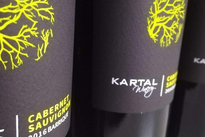 Wine Tasting Tour in Family winery Kartal in Skopje - Should you book Kartal Winery’s wine tasting tour?