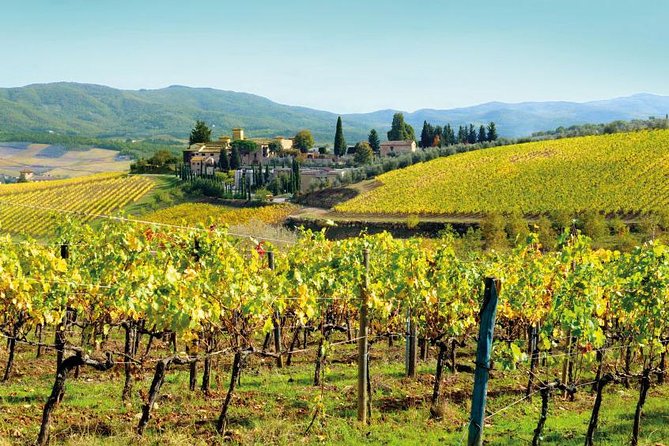 Wine Tasting & Tuscany Countryside, San Gimignano & Volterra - Price and Value: Does $197.38 Buy You a Good Day?