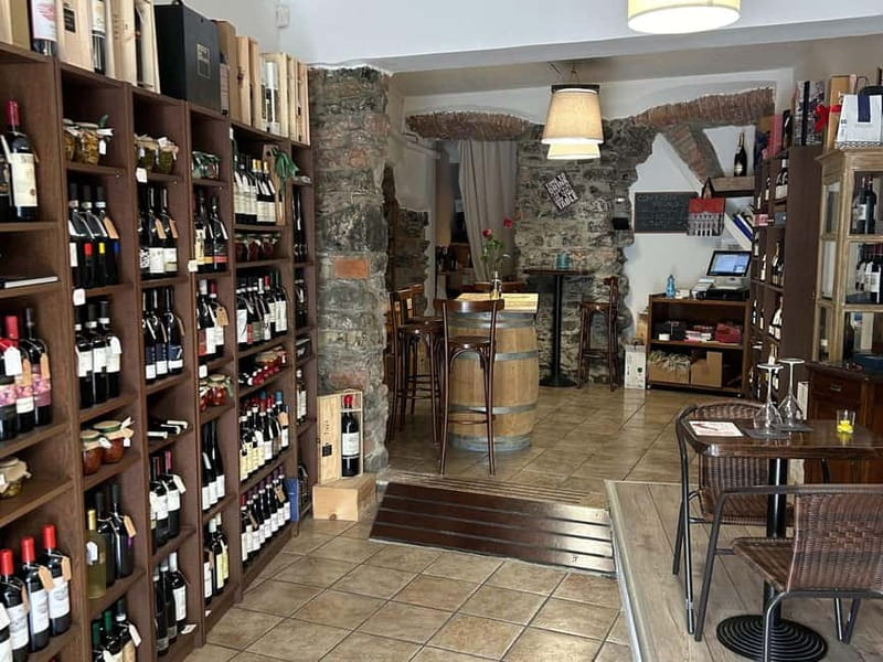Wine Tasting with Food Pairing at Lake Como - Who this experience fits best