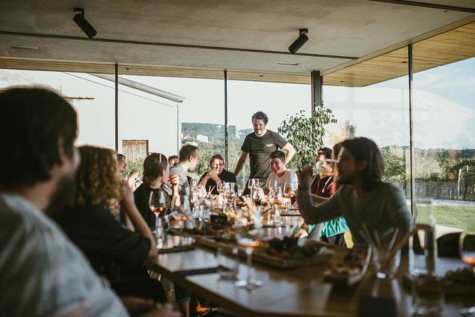 Wine Tasting with Pairing Snacks in Vipava Valley - Key highlights that matter before you go
