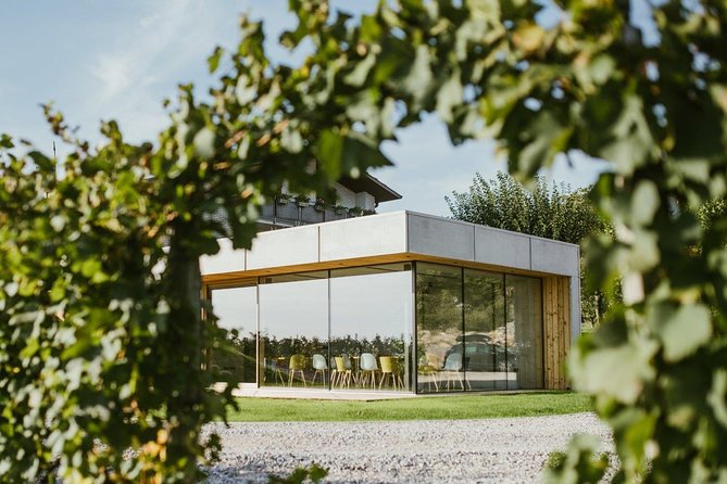 Wine Tasting with Pairing Snacks in Vipava Valley - The wine flight: 5+ Lepa Vida bottles, paced for real tasting