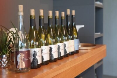 Wine Tasting with Pairing Snacks in Vipava Valley - Getting the Vipava Valley story from the owners
