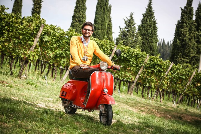 Wine Tasting with Panoramic View of Verona - The Panoramic Terrace View of Verona: Plan for Light, Not Just Promise