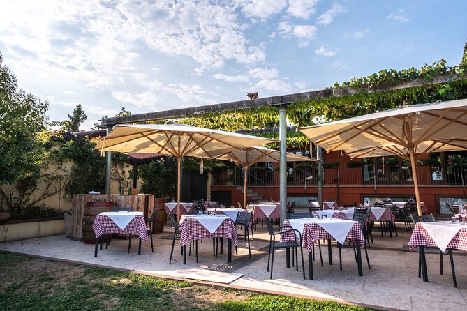 Wine Tasting with Panoramic View of Verona - Small-Group Size (Up to 20): Why That Changes the Experience