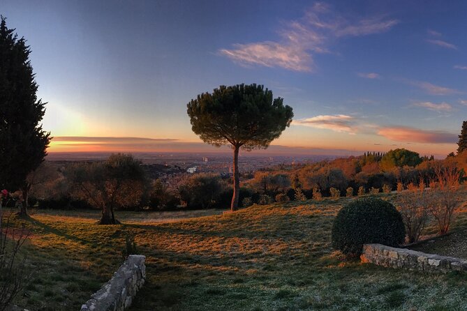 Wine Tasting with Panoramic View of Verona - The 5-Wine Tasting: What You’ll Drink (and Why It Matters)