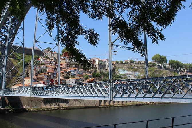 Wine Tasting with Tapas Walking Tour in Porto - What You Really Taste: Port, Vinho Verde, and Douro Wines