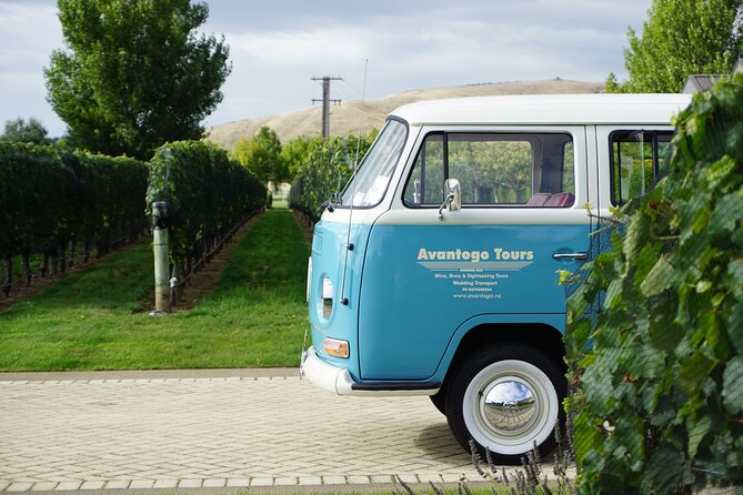 Wine Tour and Tastings in Hawkes Bay - The Kombi Experience: Classic Transport With a Relaxed Feel