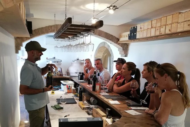 Wine Tour Ebike Experience - Starting at Urban Bikery in Piazza Grande: gear, helmets, and phone navigation