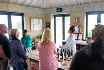 Wine Tour & Maori Culture Wanaka - Getting There: Meeting Point and Timing That Work