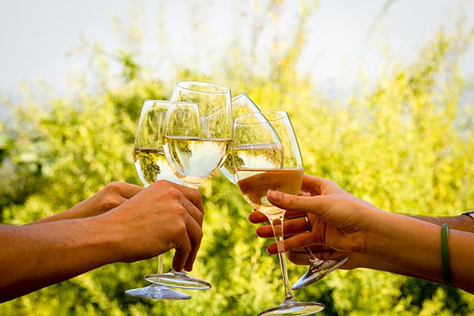 Wine Tour: Paarl, Franschhoek & Stellenbosch incl 3 wineries - A Long Day That Actually Feels Worth It