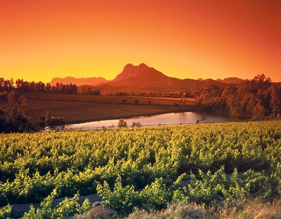 Wine Tour: Paarl, Franschhoek & Stellenbosch incl 3 wineries - Paarl Afternoon: Sweet Pairing to End on a High Note
