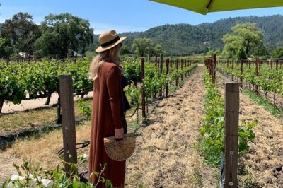 Wine Tour Pros - Wine Tour and Transportation: SUV Up To 6 Guests - Your Ride Plan: Pickup, Drop-Off, and Staying on Schedule