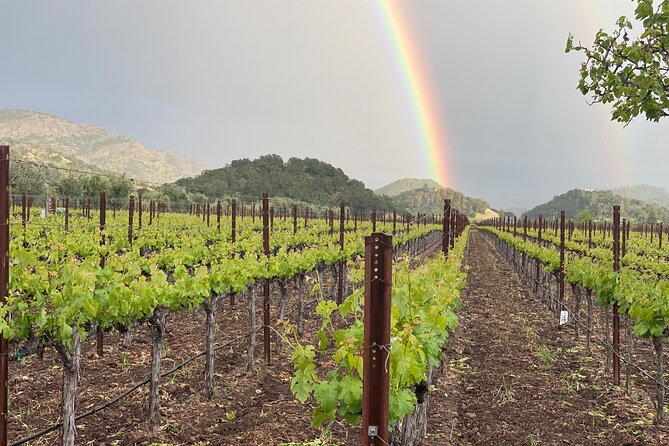 Wine Tour Pros - Wine Tour and Transportation: SUV Up To 6 Guests - Private Tour Comfort: Who This Works Best For