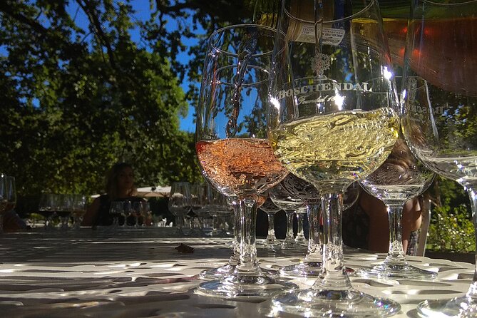 Wine Tour to Stellenbosch & Franschhoek with Tastings & Lunch - Key things that make this Winelands day work