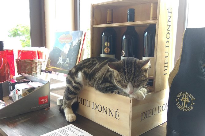 Wine Tour to Stellenbosch & Franschhoek with Tastings & Lunch - A small-group Winelands day: what the 8.5 hours means for you