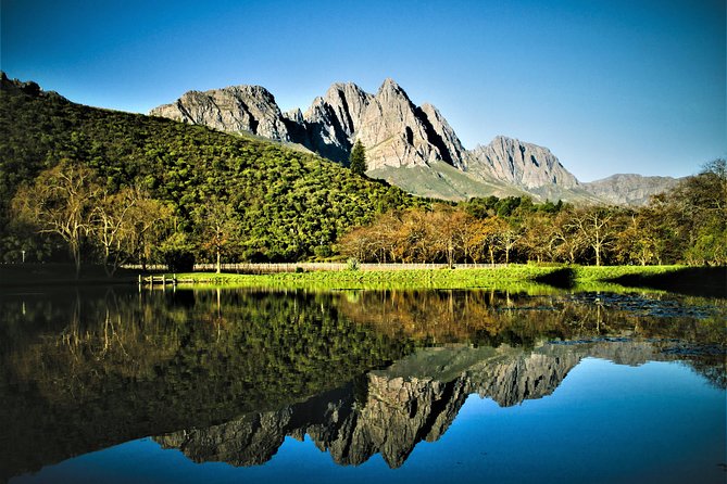 Wine Tour to Stellenbosch & Franschhoek with Tastings & Lunch - Franschhoek Cellar lunch and village time: the human-sized break