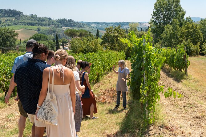 Wine Tour with Lunch and Wine Tasting - A Break From San Gimignano’s Peak-Season Energy