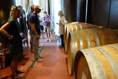 Wine Tour with Lunch and Wine Tasting - Meeting Your Guide and Getting the Wine Lesson in Plain English