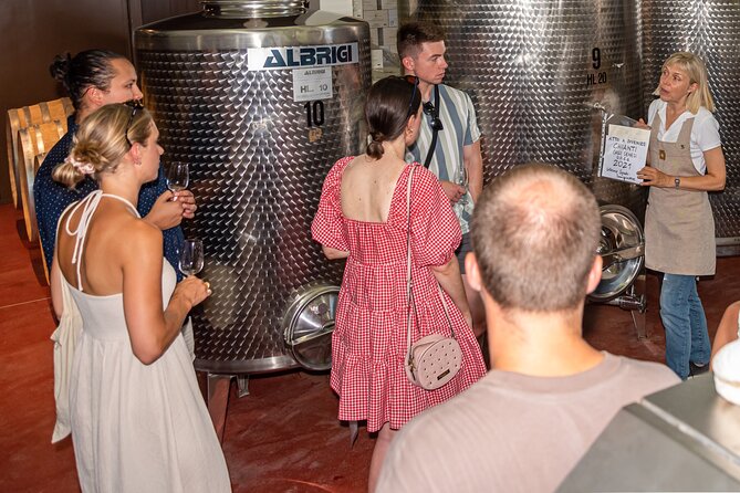 Wine Tour with Lunch and Wine Tasting - Who This Tour Fits Best (and Who Should Rethink It)