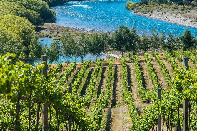 Wine Tour with Wine Tasting from Wanaka - Stop 1: Lake Wanaka and the pre-wine reset