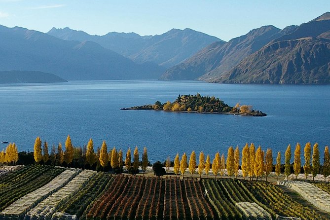 Wine Tour with Wine Tasting from Wanaka - Why four wineries (not one) makes the day worth it