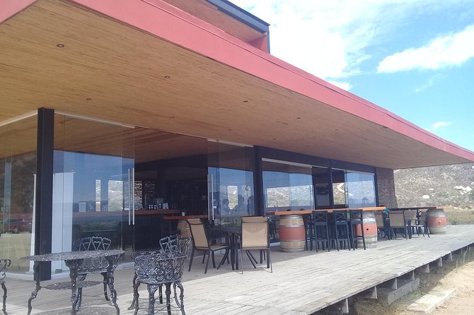 wine tours and driver service through valle de guadalupe, Ensenada B.C. Mexico - Price and what your $150 really buys in Valle de Guadalupe