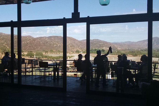 wine tours and driver service through valle de guadalupe, Ensenada B.C. Mexico - Pre-trip planning: how you choose wineries without turning your day into research
